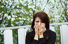 «Обращений с типичными, с сезонными симптомами значительно меньше». Аллергия задержалась?