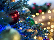 Как перевозить новогодние елки автотранспортом?