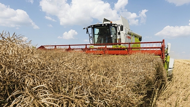 Аграрии Татарстана приступили к уборке рапса