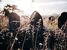 В Словакии уничтожили кладбище русских воинов