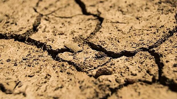 В Чувашии наблюдается почвенная засуха