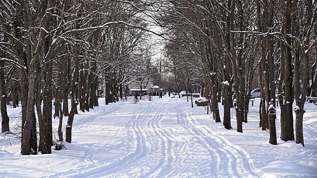 «Как по маслу» будут ездить лыжники в Ковыринском парке