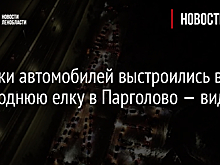 Десятки автомобилей выстроились в новогоднюю елку в Парголово — видео