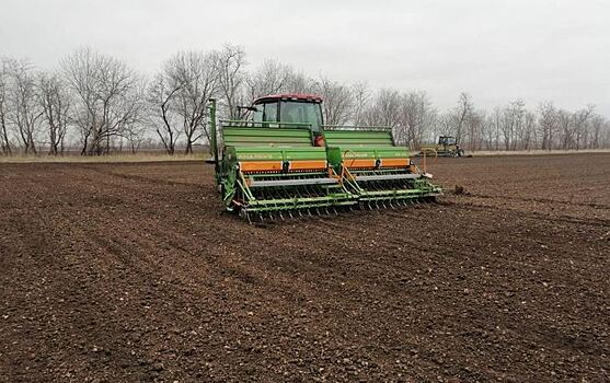 На Ставрополье расширяют производство радужной форели