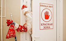 В Рязани Дед Мороз пришёл в «красную зону»