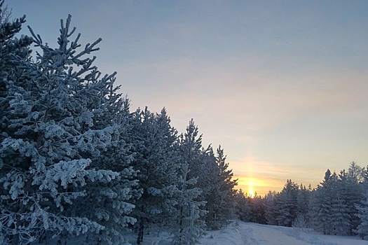 Тепла не ждите: в Свердловскую область вернутся сильные морозы