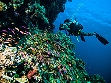 Турист увлекся подводной фотосъемкой и умер при загадочных обстоятельствах