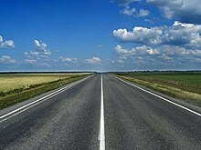 АСМАП положительно оценила опыт Беларуси по недопущению перевозчиков из Евросоюза на свою территорию