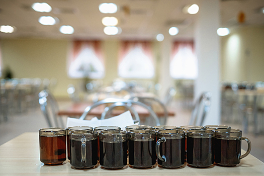 Проверка перед учебным годом выявила более 200 нарушений в школьных столовых