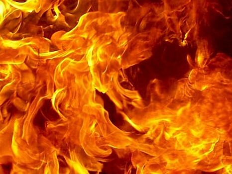 На ночном пожаре в Грязовце пострадали пожилые супруги