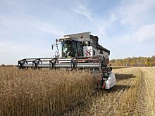 Аграрии Красноярского края намолотили 2,9 миллиона тонн зерна