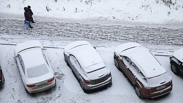 В Госдуме предложили давать месяц бесплатной парковки за ошибочные штрафы