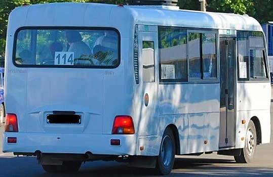 В Анапе странный хулиган сильно напугал пассажиров маршрутки