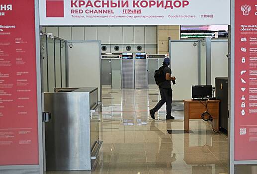 Мужчина решил привезти жене морской огурец и был задержан в аэропорту Москвы