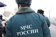 Спасатели вытащили из Москвы-реки трех человек