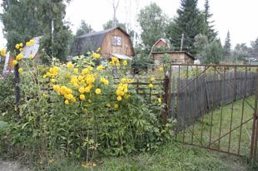 Платить будут все?