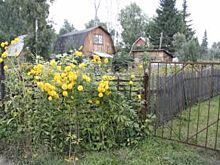 Платить будут все?