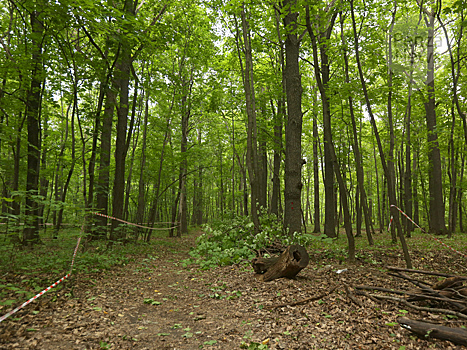За 8 месяцев в Пензенской области зафиксировано почти 470 случаев мышиной лихорадки
