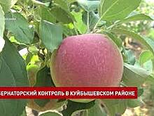 Группа губернаторского контроля побывала в Куйбышевском районе