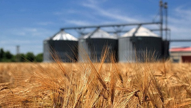 Объем экспорта продукции АПК на Кубани за 5 лет увеличат на 75%