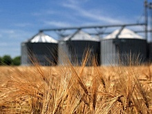 Объем экспорта продукции АПК на Кубани за 5 лет увеличат на 75%