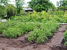 Только четверть работодателей отпустит россиян на продлённые майские праздники