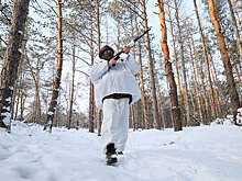 Онлайн-трансляция специальной военной операции на Украине — 1426-й день