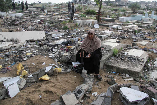 ТАСС: Алжир запросил закрытое заседание Совбеза ООН 7 мая по захоронениям в Газе