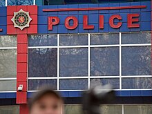 Главу избирательного штаба Элисашвили опросили в полиции Тбилиси