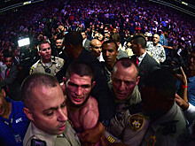 Глава UFC Уайт сообщил об аресте трёх представителей команды Нурмагомедова