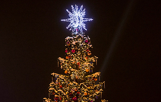 Для взрослых и детей. Подборка спектаклей на новогодних праздниках в Москве