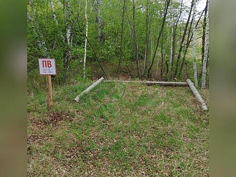 На территории Чернышевского участка проводятся противопожарные мероприятия