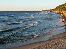 Восполнение водных биоресурсов Балтики – новый этап экологического марафона АО «Ростерминалуголь»