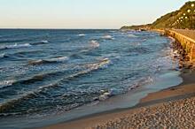 Восполнение водных биоресурсов Балтики – новый этап экологического марафона АО «Ростерминалуголь»