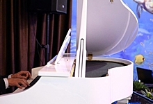 При поддержке ОНПЗ в Омске состоится бесплатный концерт пианиста-виртуоза