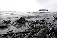 Опасные отходы утекают в залив Находка с нелегальной свалки