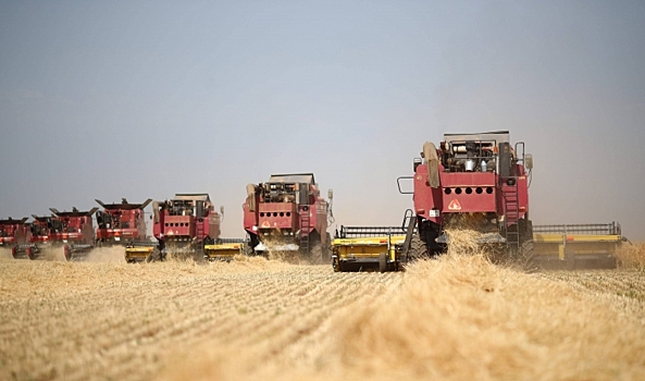 В Сирии оценили нанесенный за годы войны ущерб промышленности в $427 млн