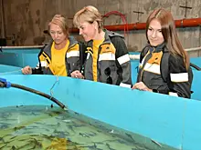 Больше 40 тысяч мальков стерляди выпустили в Саратовское водохранилище нефтяники сызранского предприятия