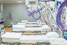 Еще 294 пациента выздоровели после коронавируса в Подмосковье