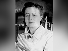 125 лет назад родилась «Госпожа Пенициллин»