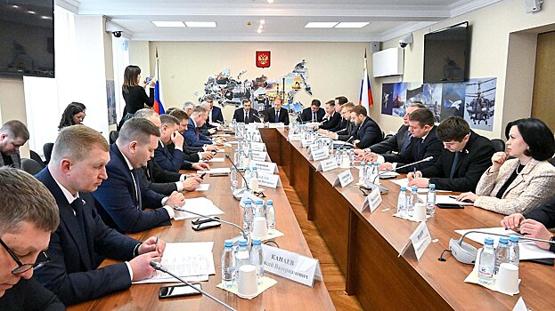 Профильный комитет Госдумы обсудил с Денисом Мантуровым состояние и перспективы развития отечественной промышленности