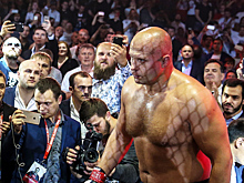 Появилась петиция в защиту Емельяненко