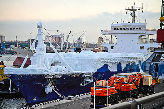 Во Владивосток прибыло судно с обледеневшими иномарками