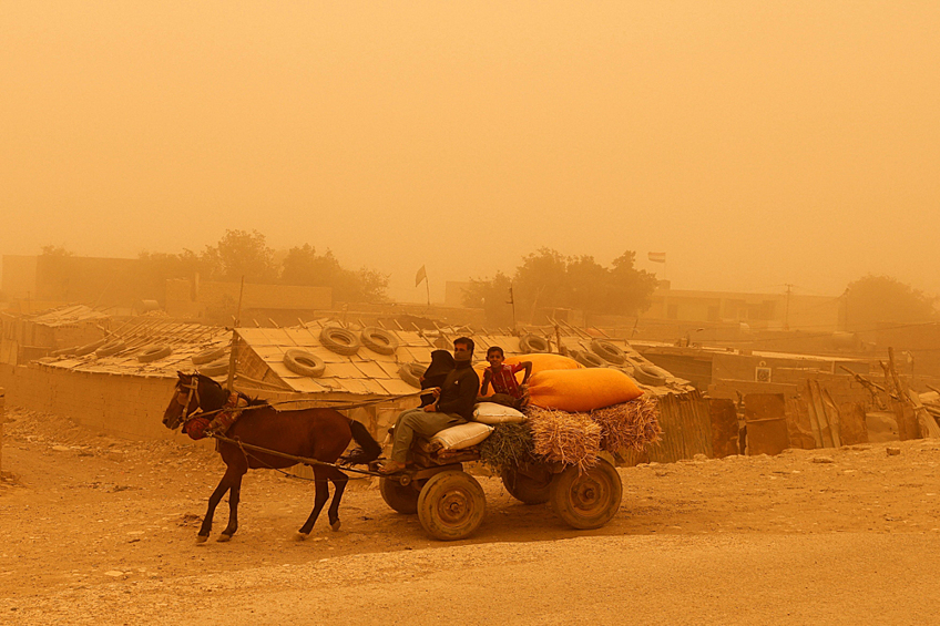 Иракцы едут на повозке, запряженной лошадьми, во время песчаной бури в восточном районе Багдада Аль-Футелия