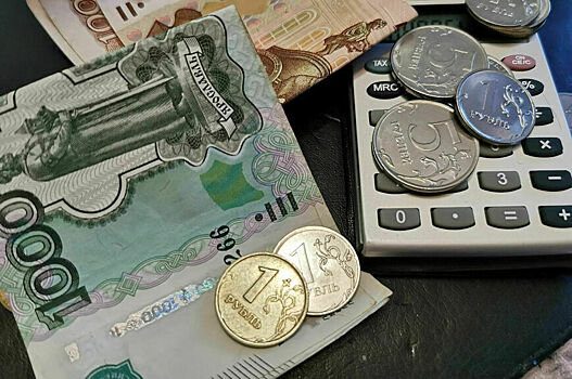 Россиян планируют надежнее защищать от микрофинансовых организаций