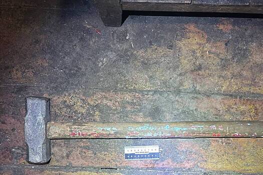 В Мариуполе мужчина добил кувалдой племянницу, которая пыталась сбежать