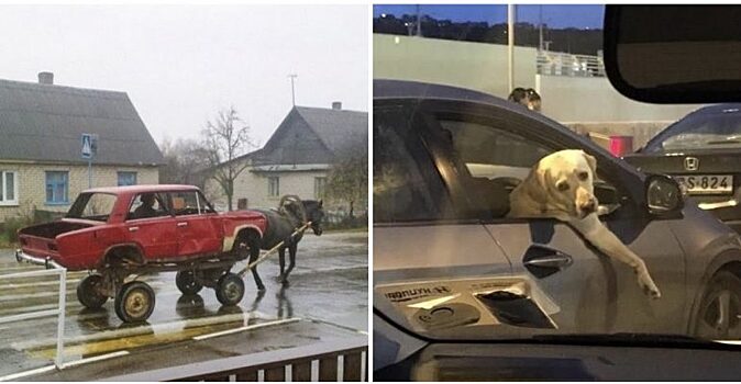 Умом водителя не понять: подборка смешных автомобильных приколов (22 фото)