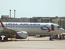 Россиянин сделал предложение руки и сердца стюардессе на борту самолета