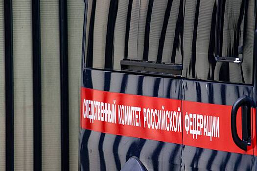 Желавшие добраться «зайцами» до Ярославля студенты найдены мертвыми