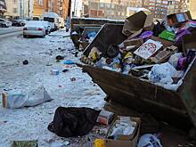 Свиньи раскидали мусор по российскому городу